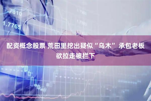配资概念股票 荒田里挖出疑似“乌木” 承包老板欲拉走被拦下