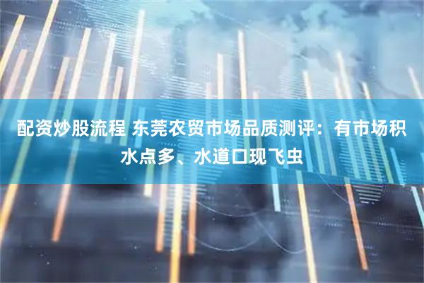 配资炒股流程 东莞农贸市场品质测评：有市场积水点多、水道口现飞虫