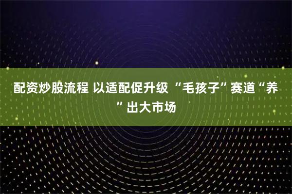 配资炒股流程 以适配促升级 “毛孩子”赛道“养”出大市场