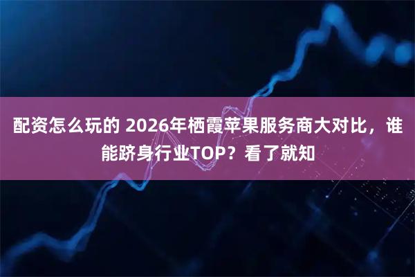 配资怎么玩的 2026年栖霞苹果服务商大对比，谁能跻身行业TOP？看了就知
